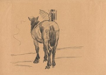 Sketch of a horse