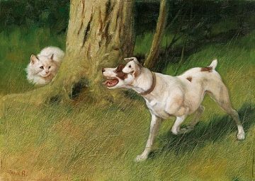 Dog and cat, again