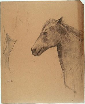 Sketch of a horse's head