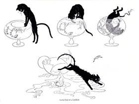 Cat and goldfish