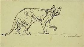 Cat walking