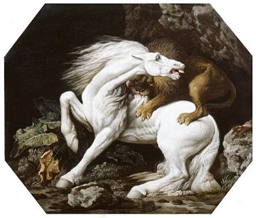 Horse attacked by a lion