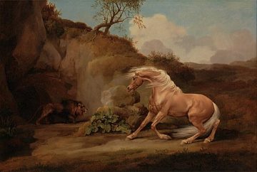 Horse frightened by a lion