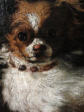 Dog and cat
