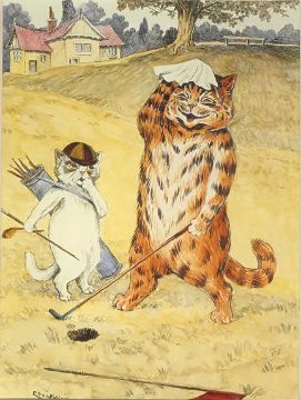 Cats at play