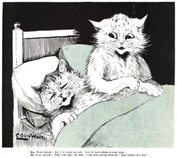 Love letters of a cat