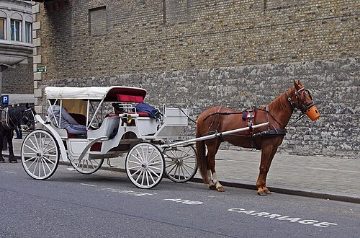 White carriage in Dublin